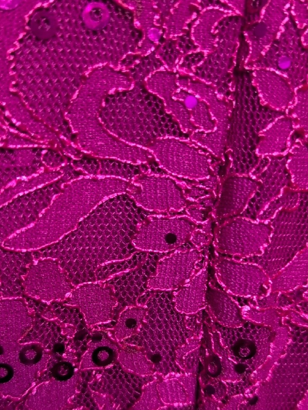 Alex Evenings Fuchsia Lace Sleeveless Maxi Dress - Picture 8 of 11
